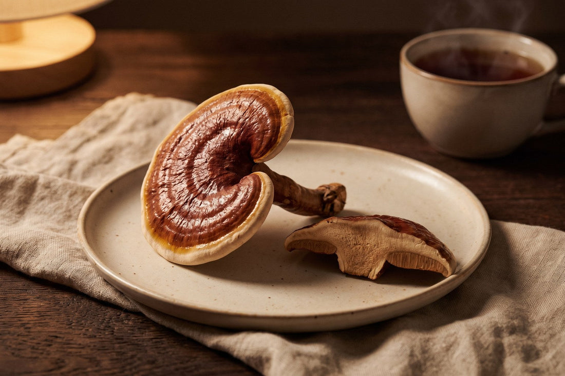 Reishi (Ganoderma lucidum) - na co się go stosuje: lakierowane owocniki grzyba reishi na ceramicznym talerzu w wieczornym świetle