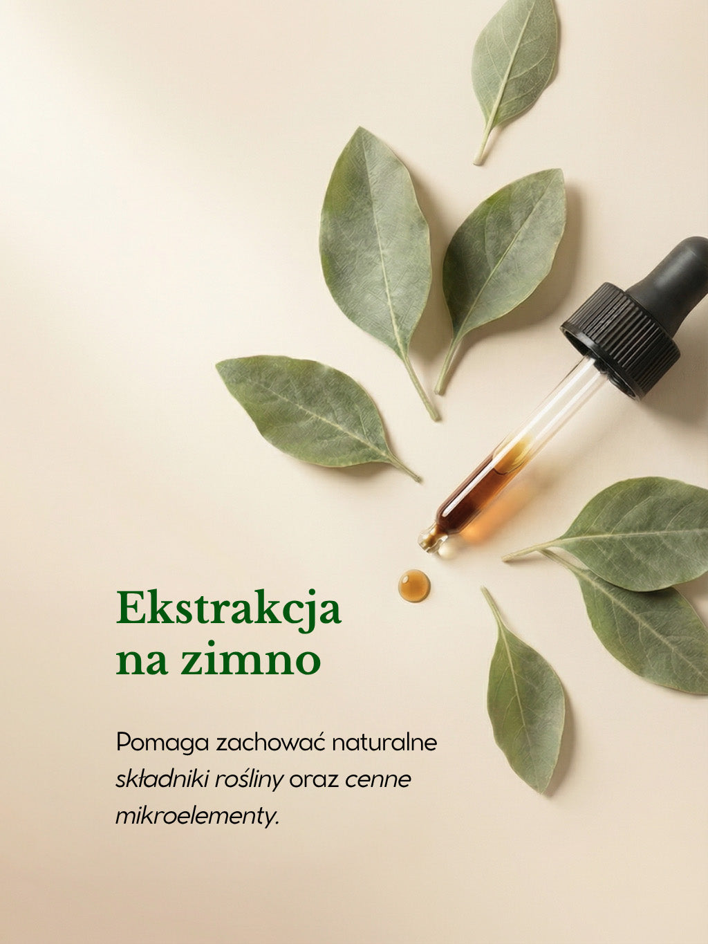 Ashwagandha Ekstrakcja na zimno BioChelation pomaga zachować naturalne składniki rośliny oraz cenne mikroelementy