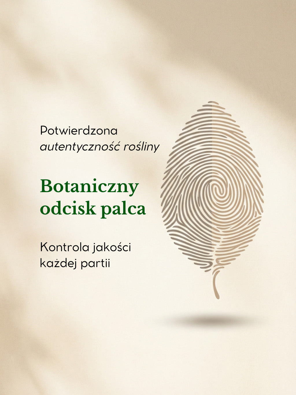 Ashwagandha Botaniczny Odcisk Palca: potwierdzona autentyczność rośliny i kontrola jakości każdej partii produkcyjnej