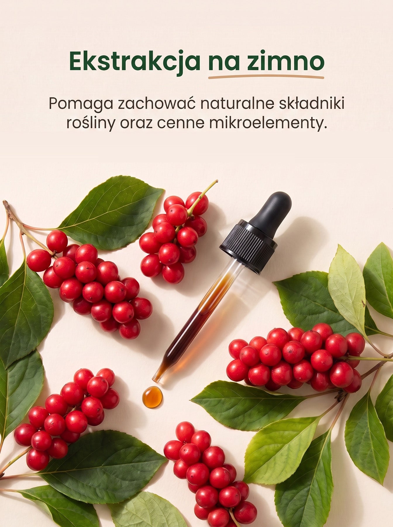 Cytryniec Chiński - Schisandra