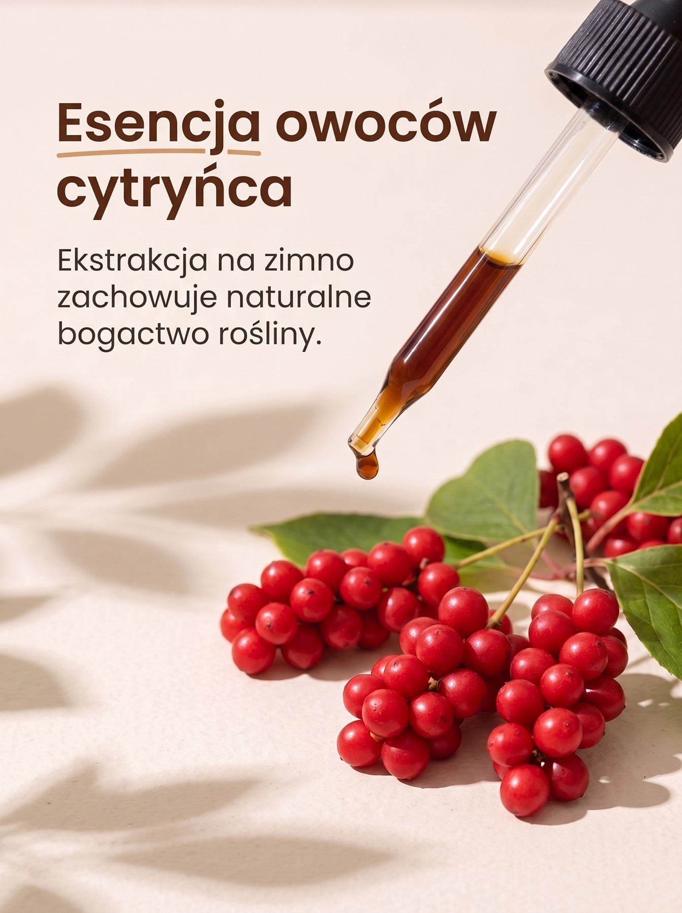 Cytryniec Chiński - Schisandra