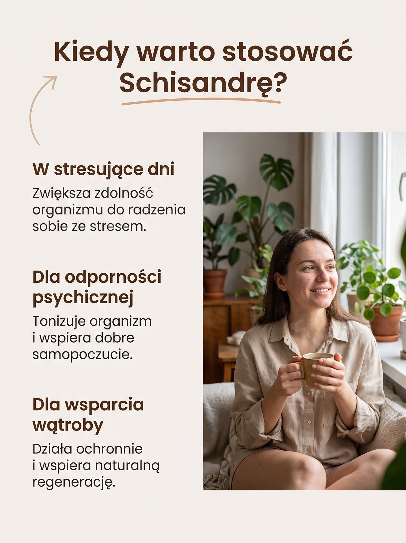 Cytryniec Chiński - Schisandra