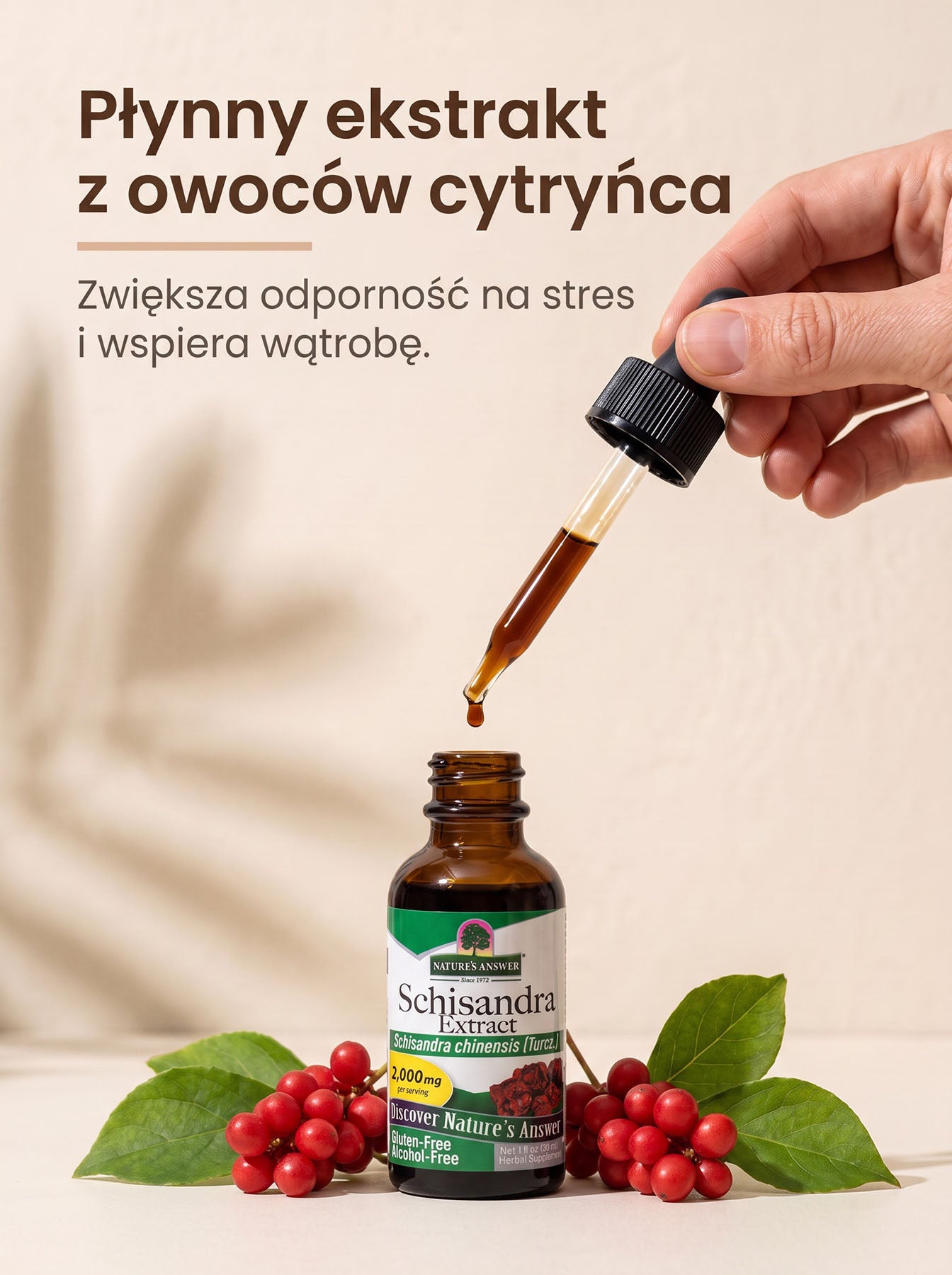Cytryniec Chiński - Schisandra