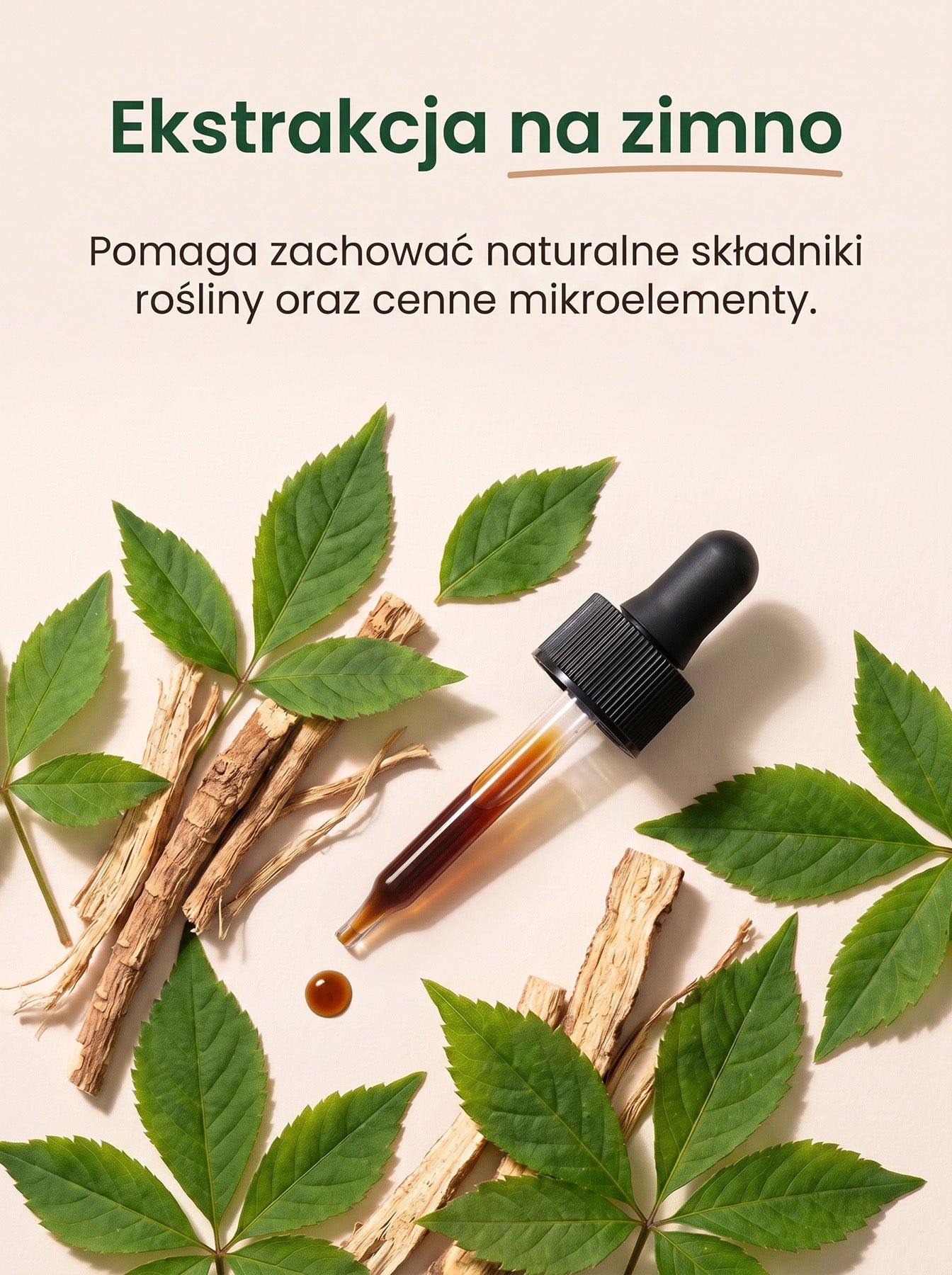 Żeń-Szeń Syberyjski - Eleuthero