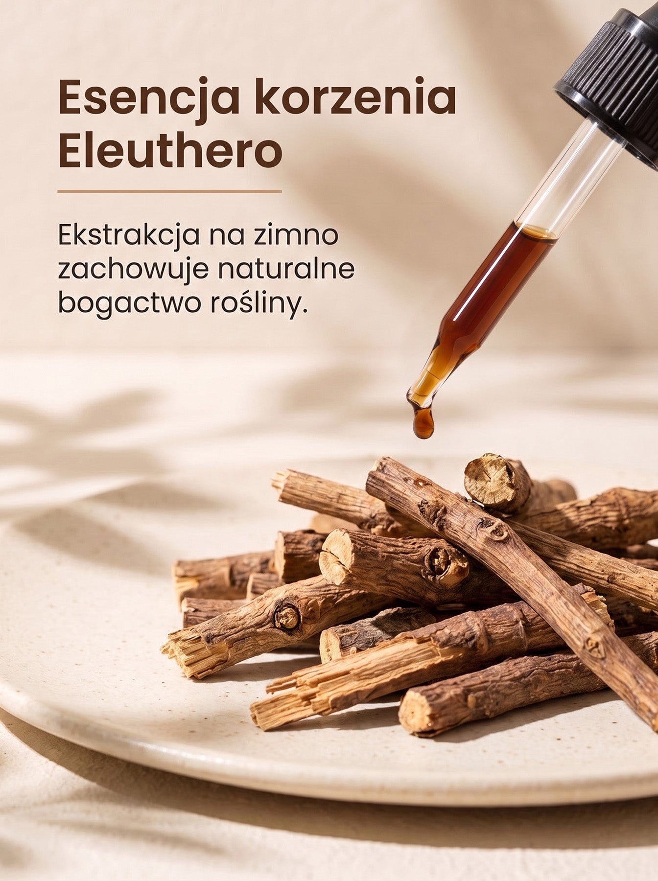 Żeń-Szeń Syberyjski - Eleuthero