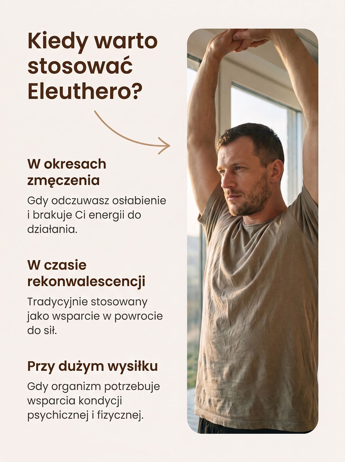 Żeń-Szeń Syberyjski - Eleuthero