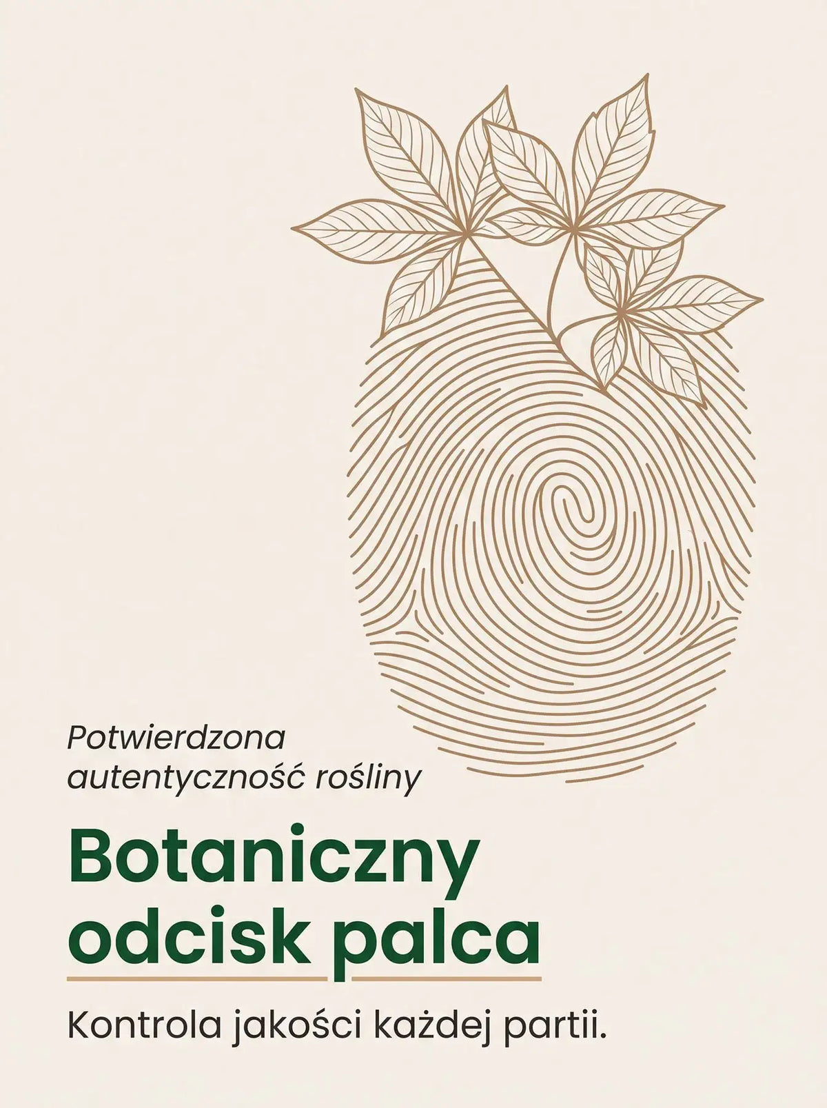 Żeń-Szeń Syberyjski - Eleuthero Krople 60 ml Sklep Adaptogeny.pl