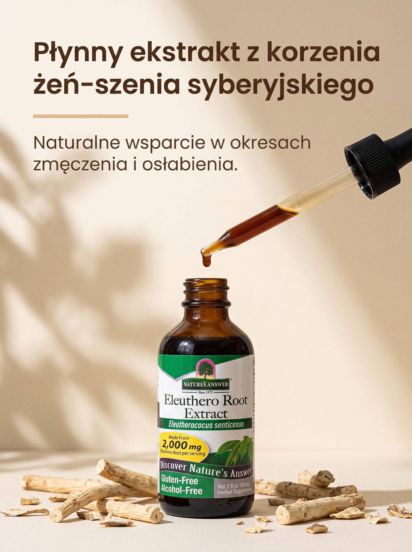 Żeń-Szeń Syberyjski - Eleuthero