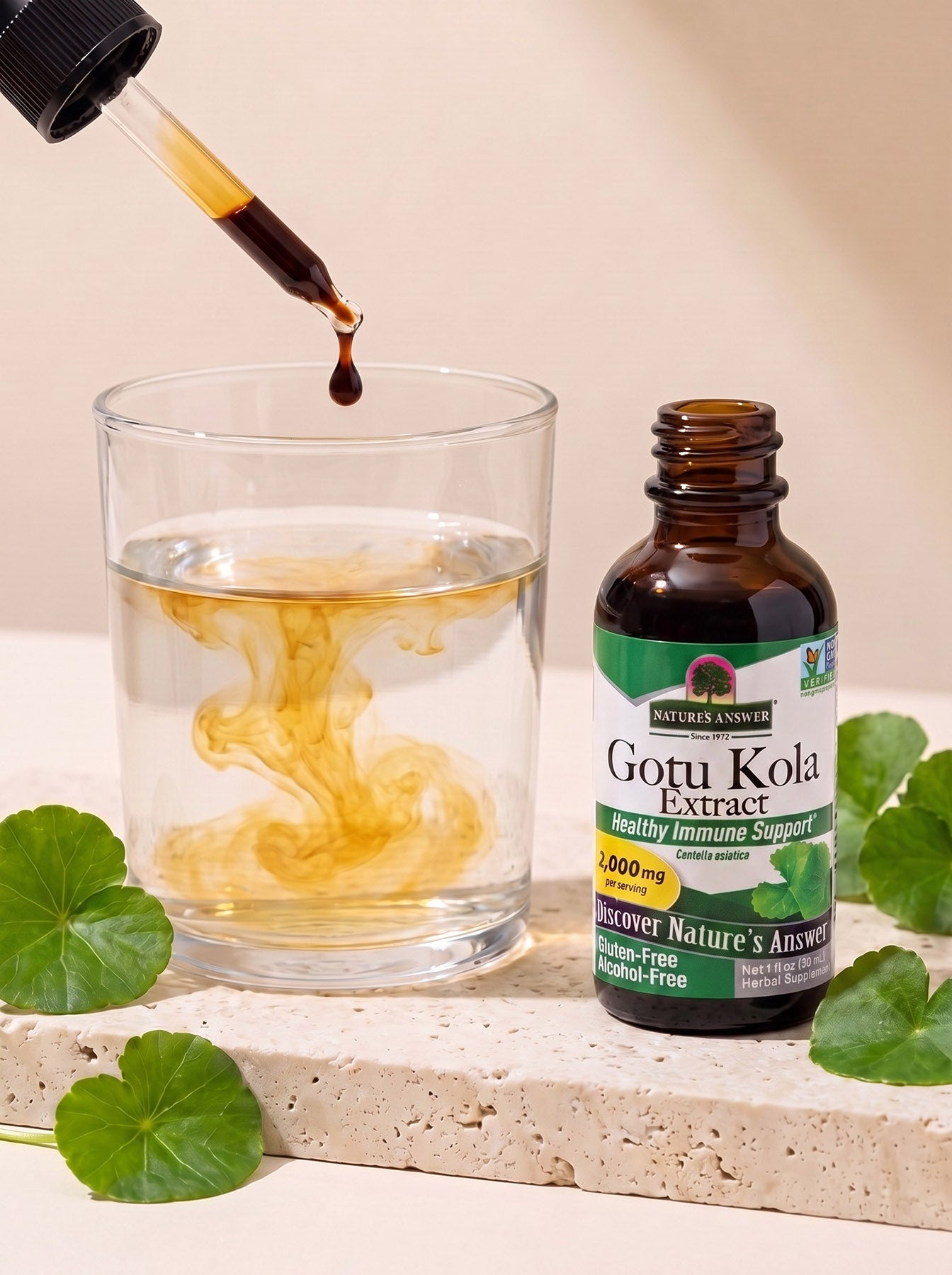 Gotu Kola - Wąkrotka azjatycka