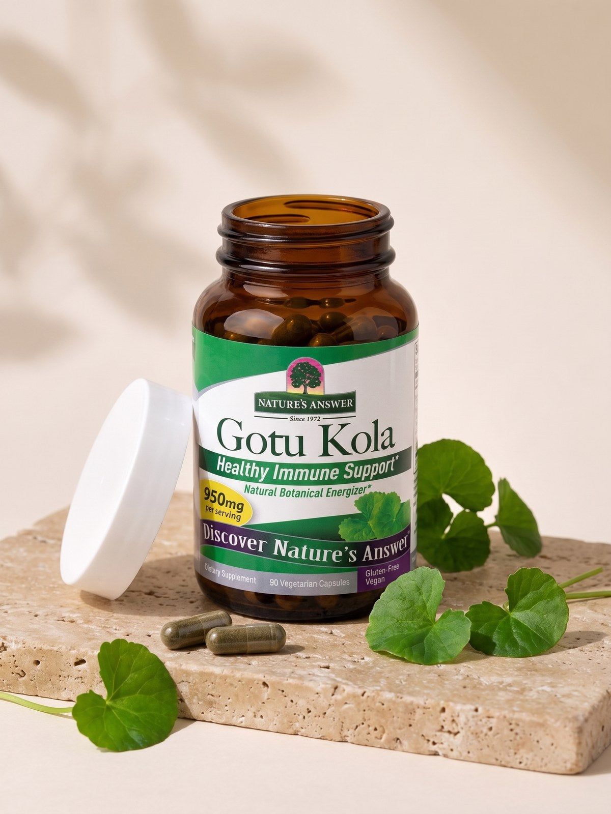 [kapsułki] Gotu kola w kapsułkach: otwarty słoik i liście Centella asiatica