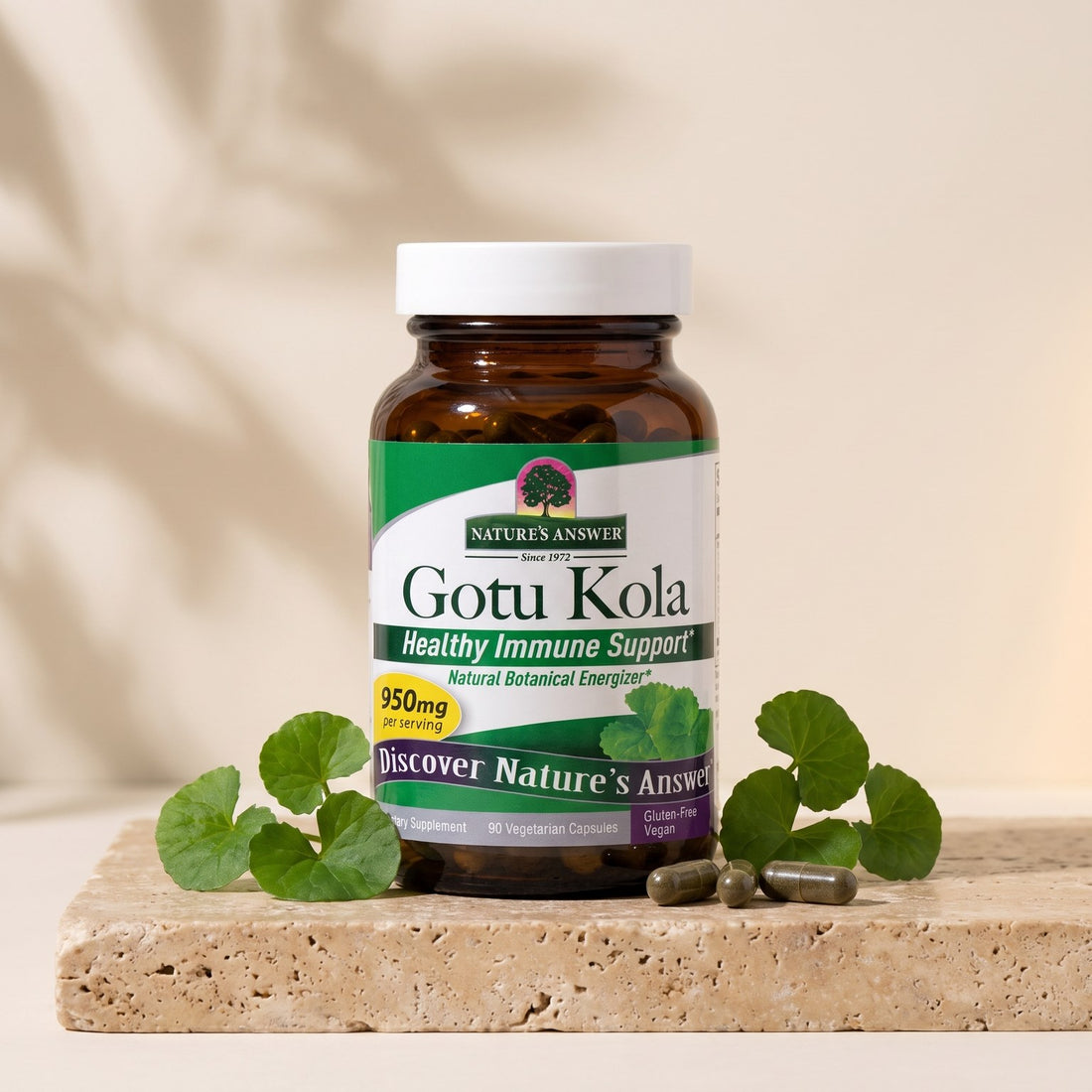[kapsułki] Gotu kola w kapsułkach: słoik i liście Centella asiatica