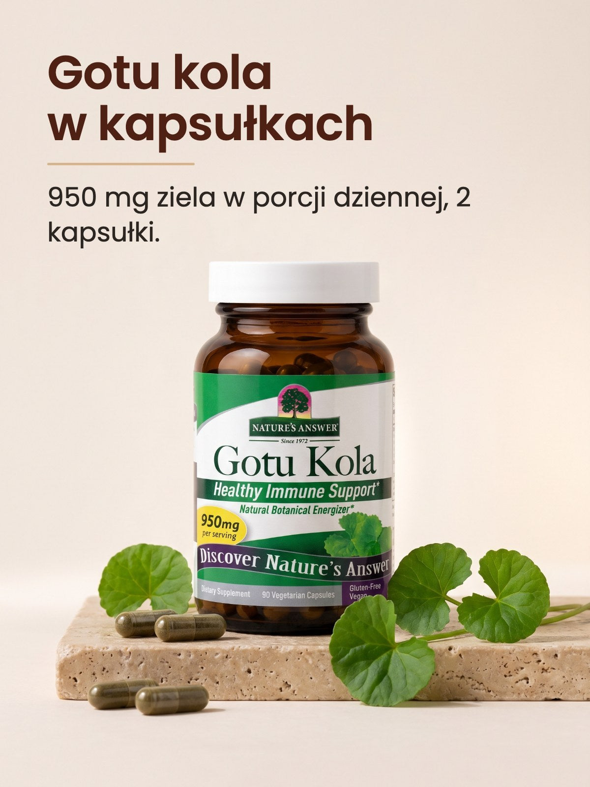 [kapsułki] Gotu kola w kapsułkach: 950 mg ziela w porcji dziennej