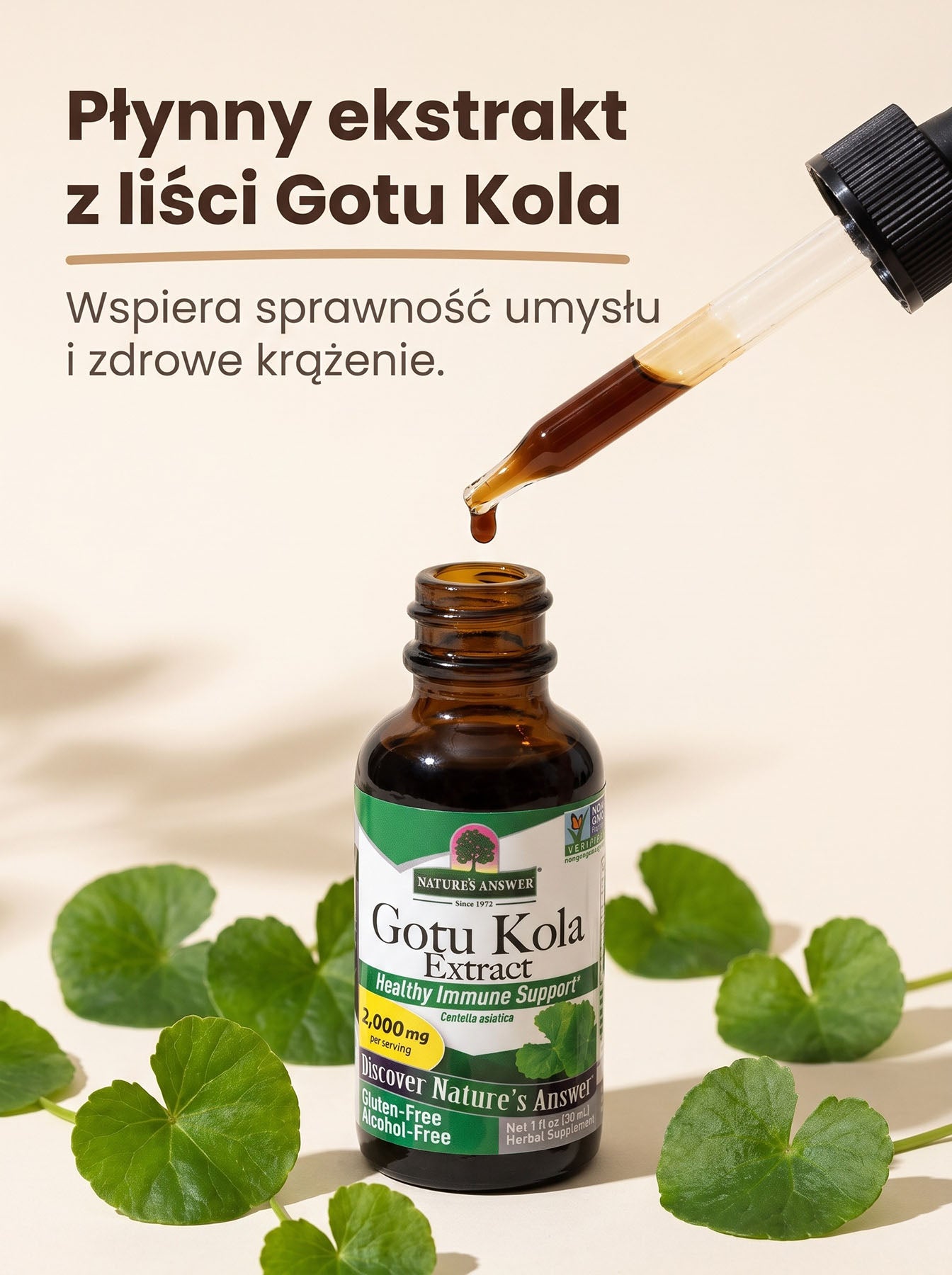 Gotu Kola - Wąkrotka azjatycka