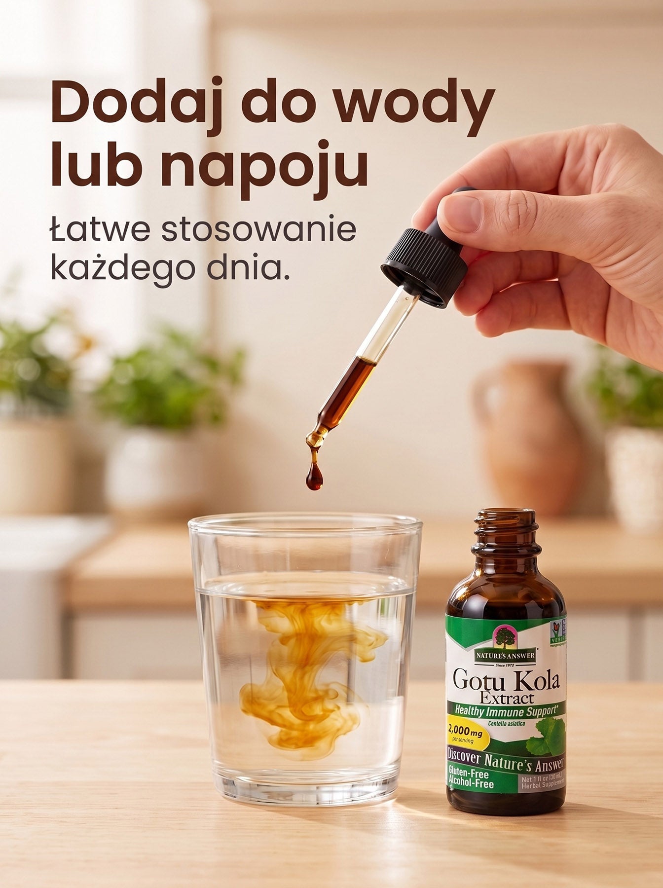 Gotu Kola - Wąkrotka azjatycka
