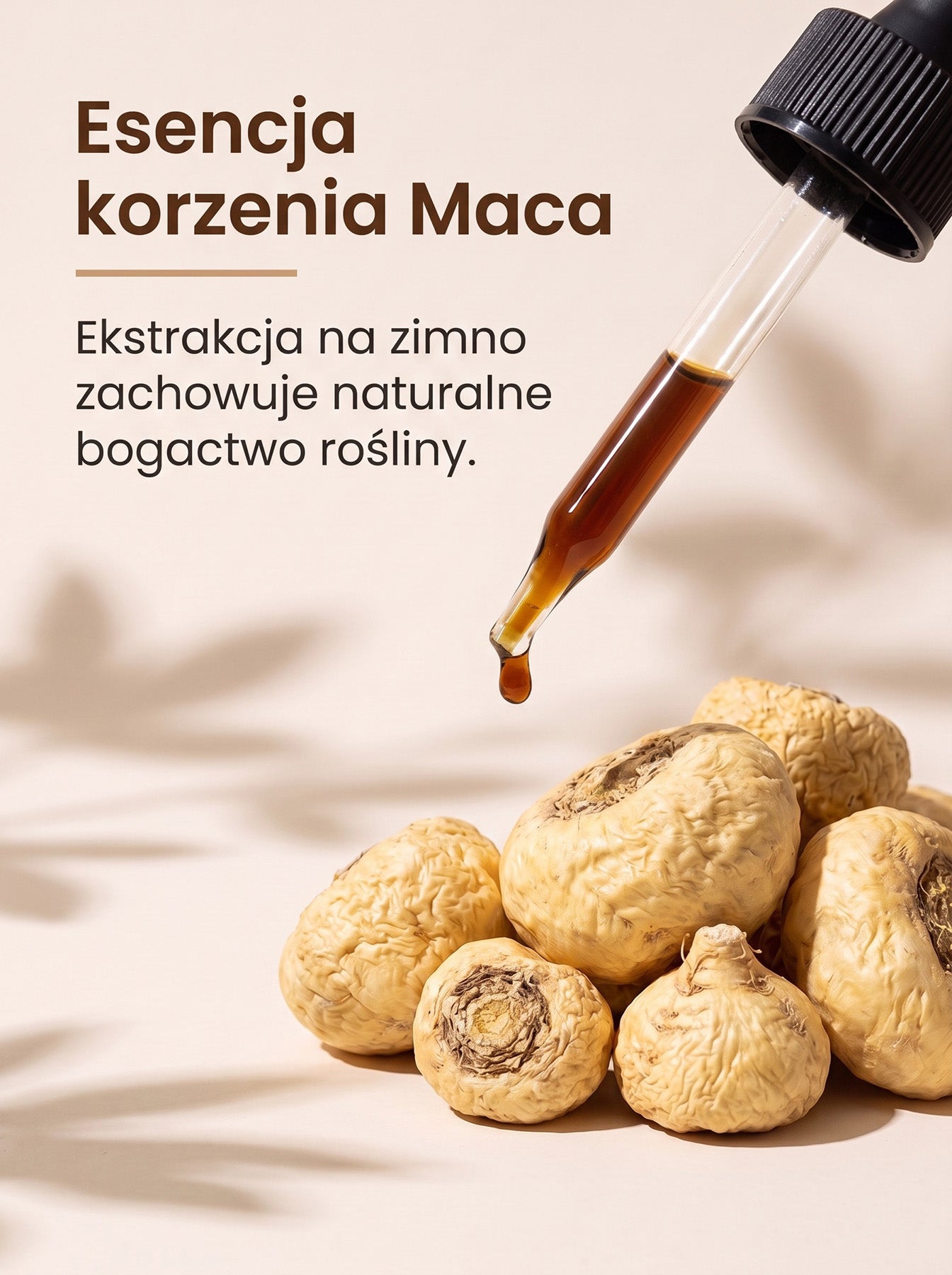 Maca