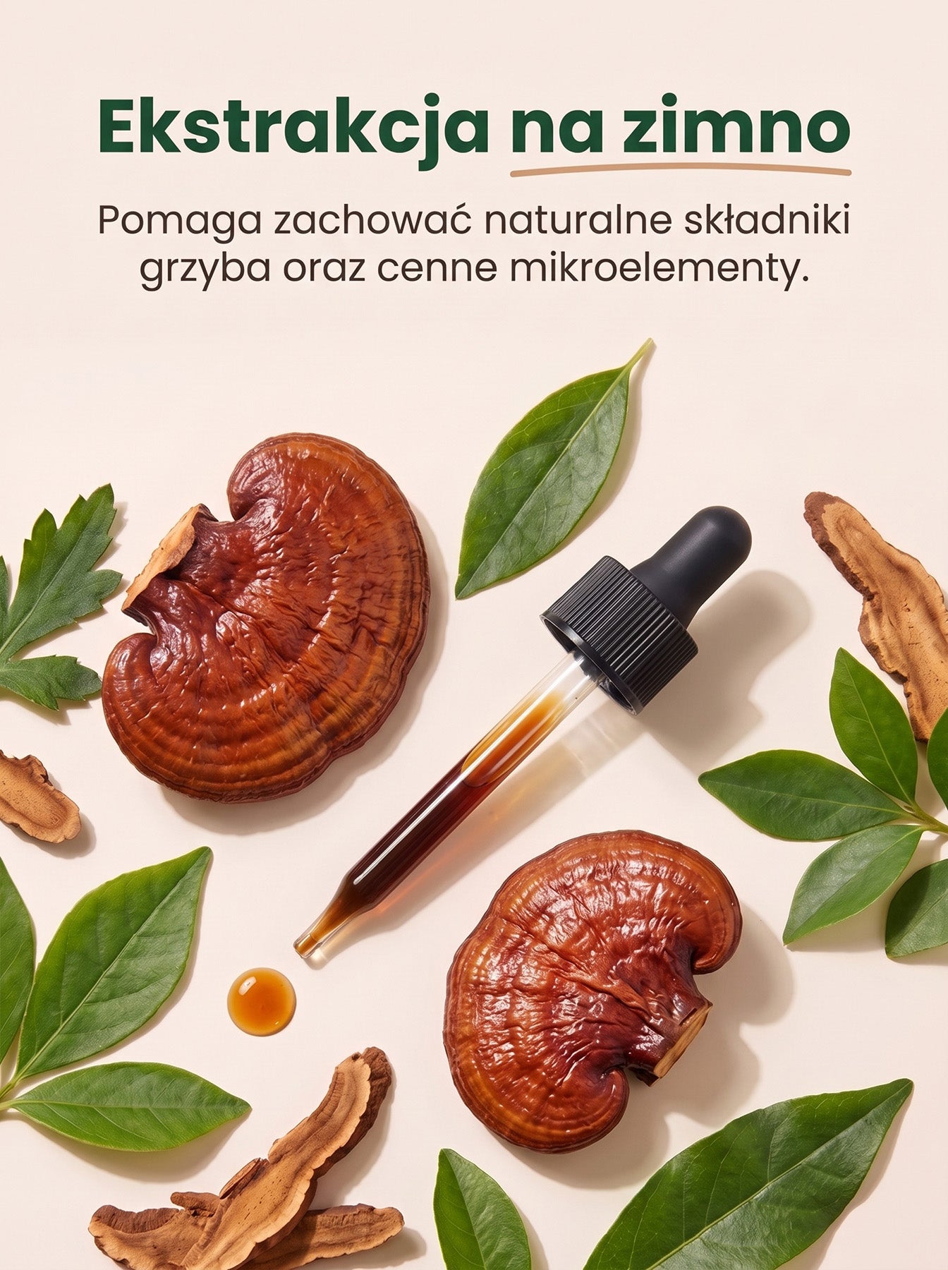 Reishi