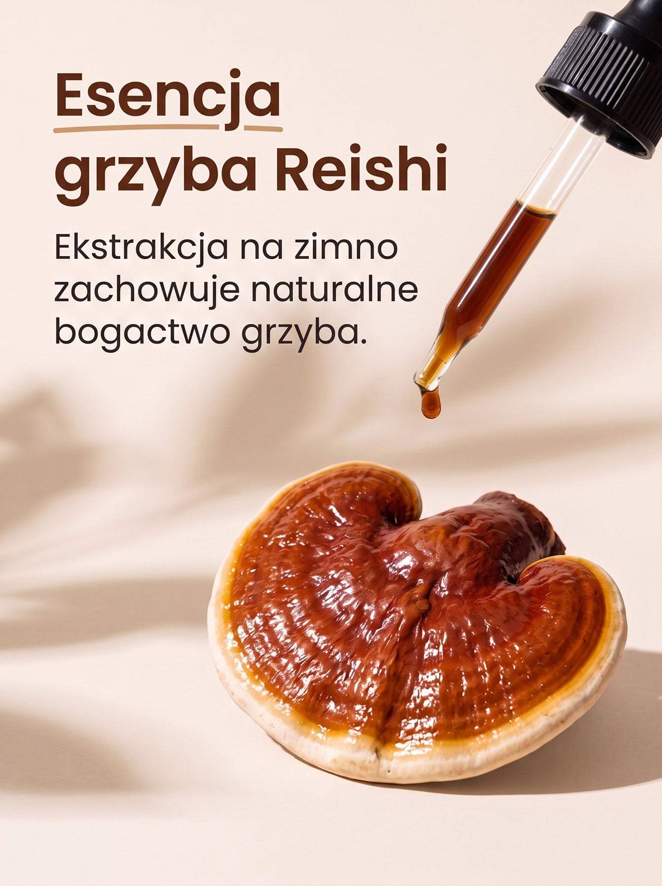 Reishi