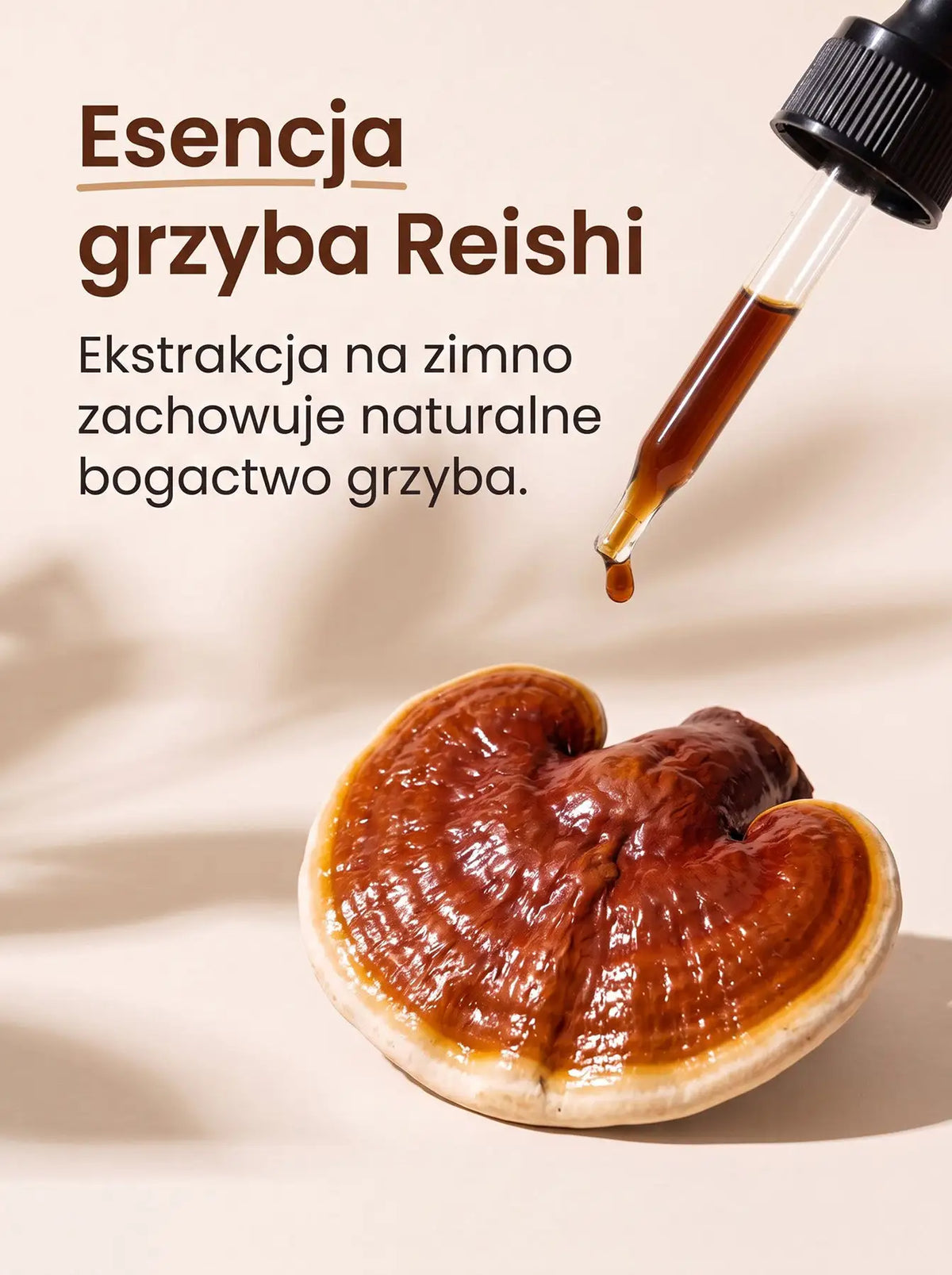 Reishi Krople 30 ml Sklep Adaptogeny.pl