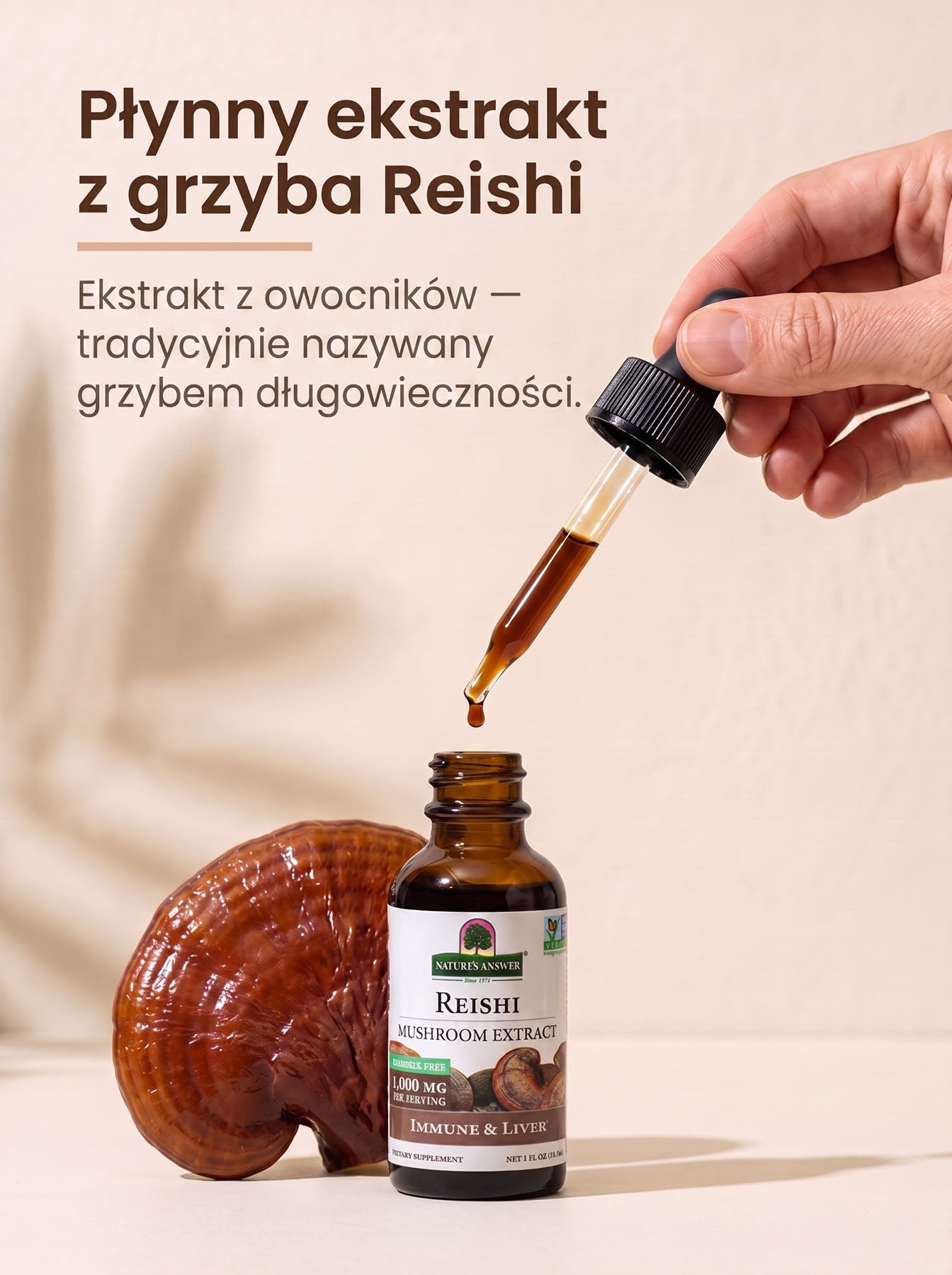 Reishi