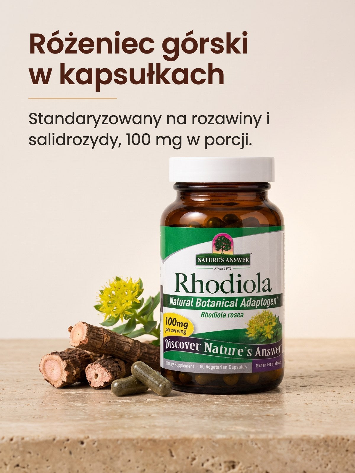 [kapsułki] Różeniec górski w kapsułkach: standaryzowany ekstrakt, 100 mg w porcji