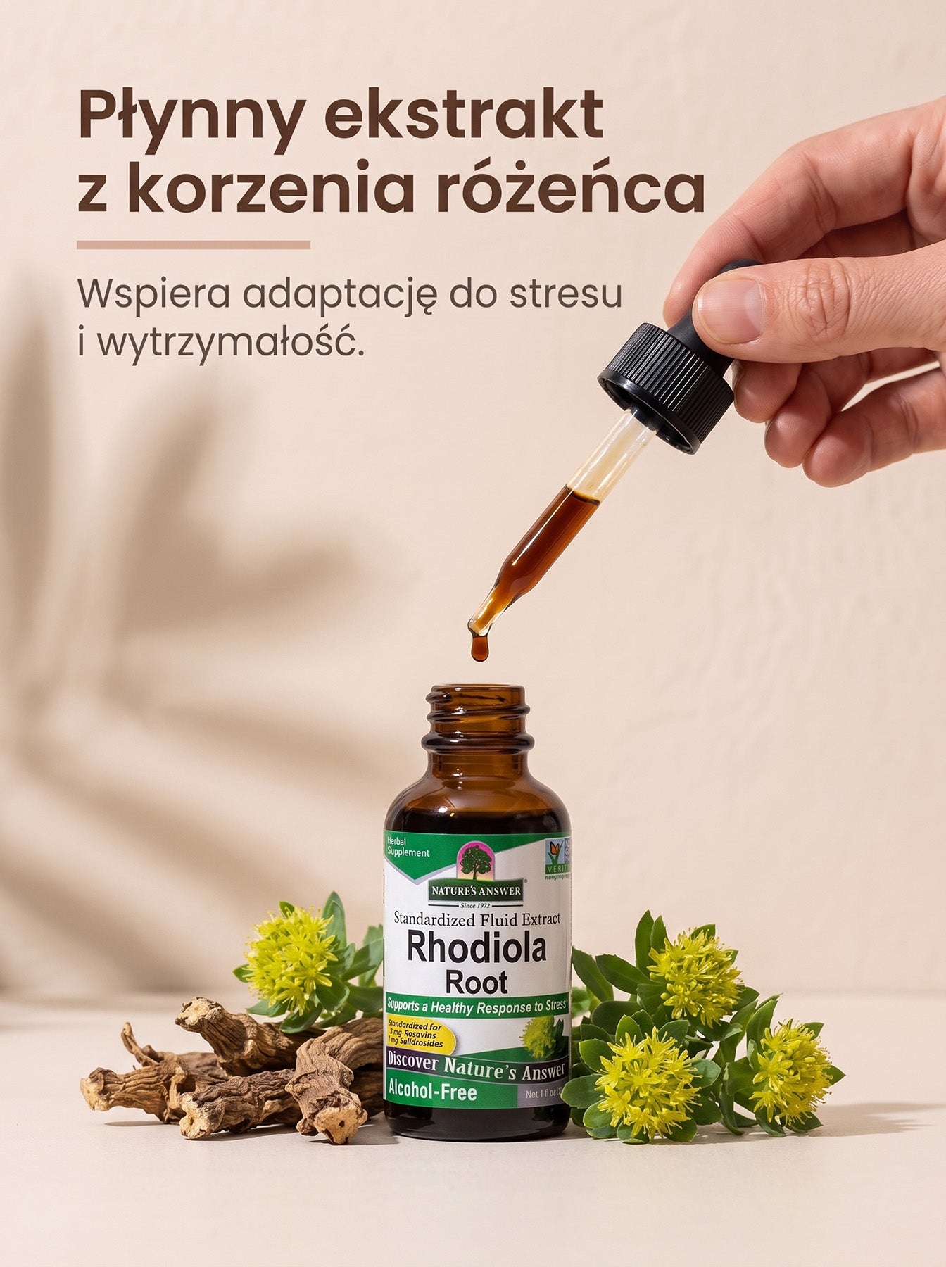 Różeniec Górski - Rhodiola Rosea
