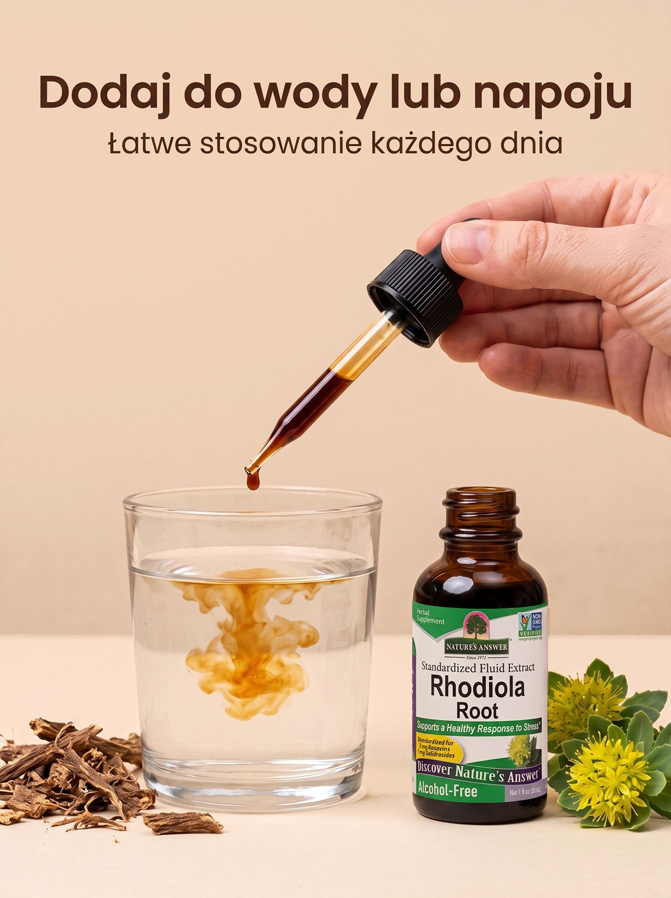 Różeniec Górski - Rhodiola Rosea