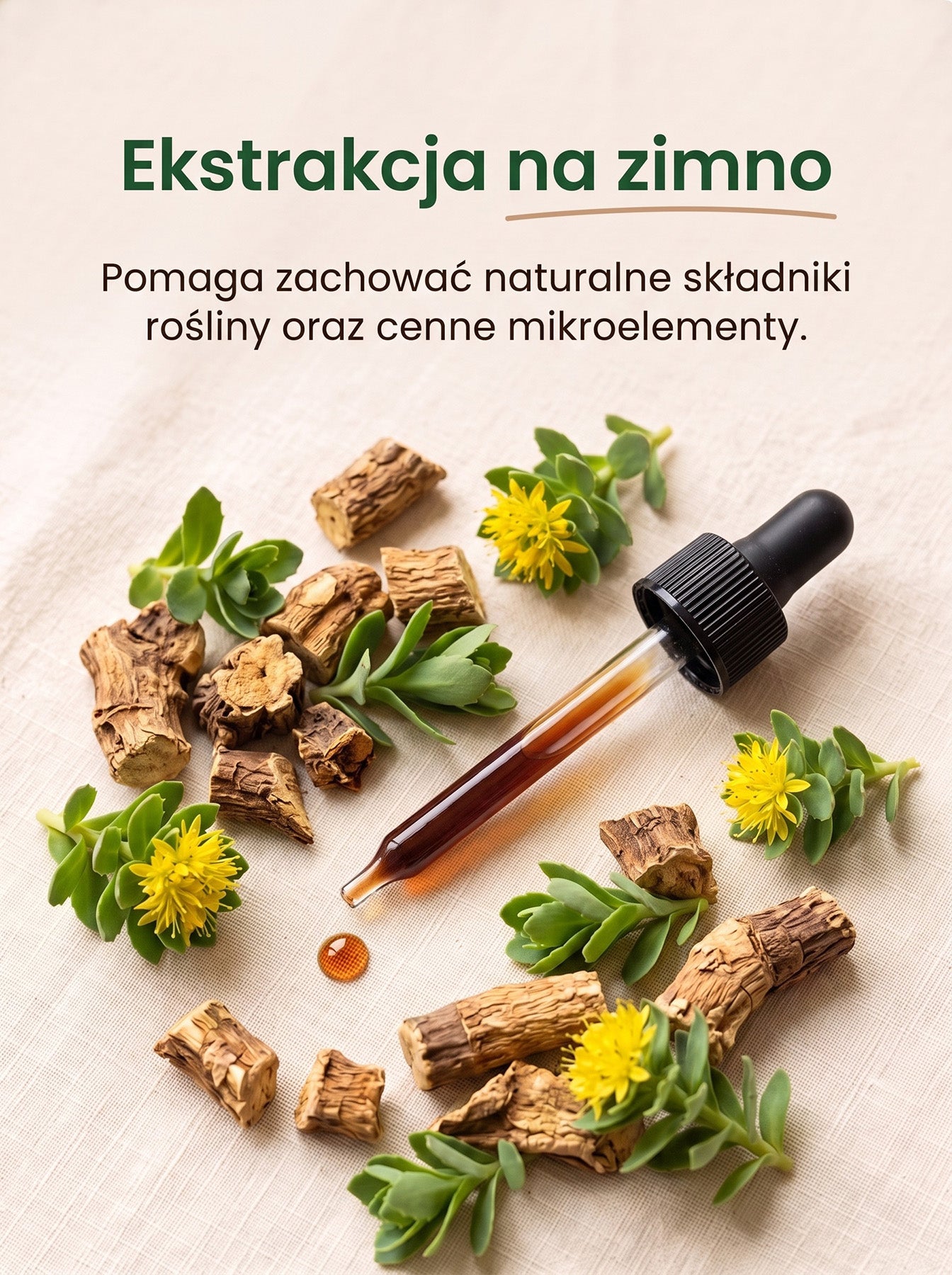 Różeniec Górski - Rhodiola Rosea