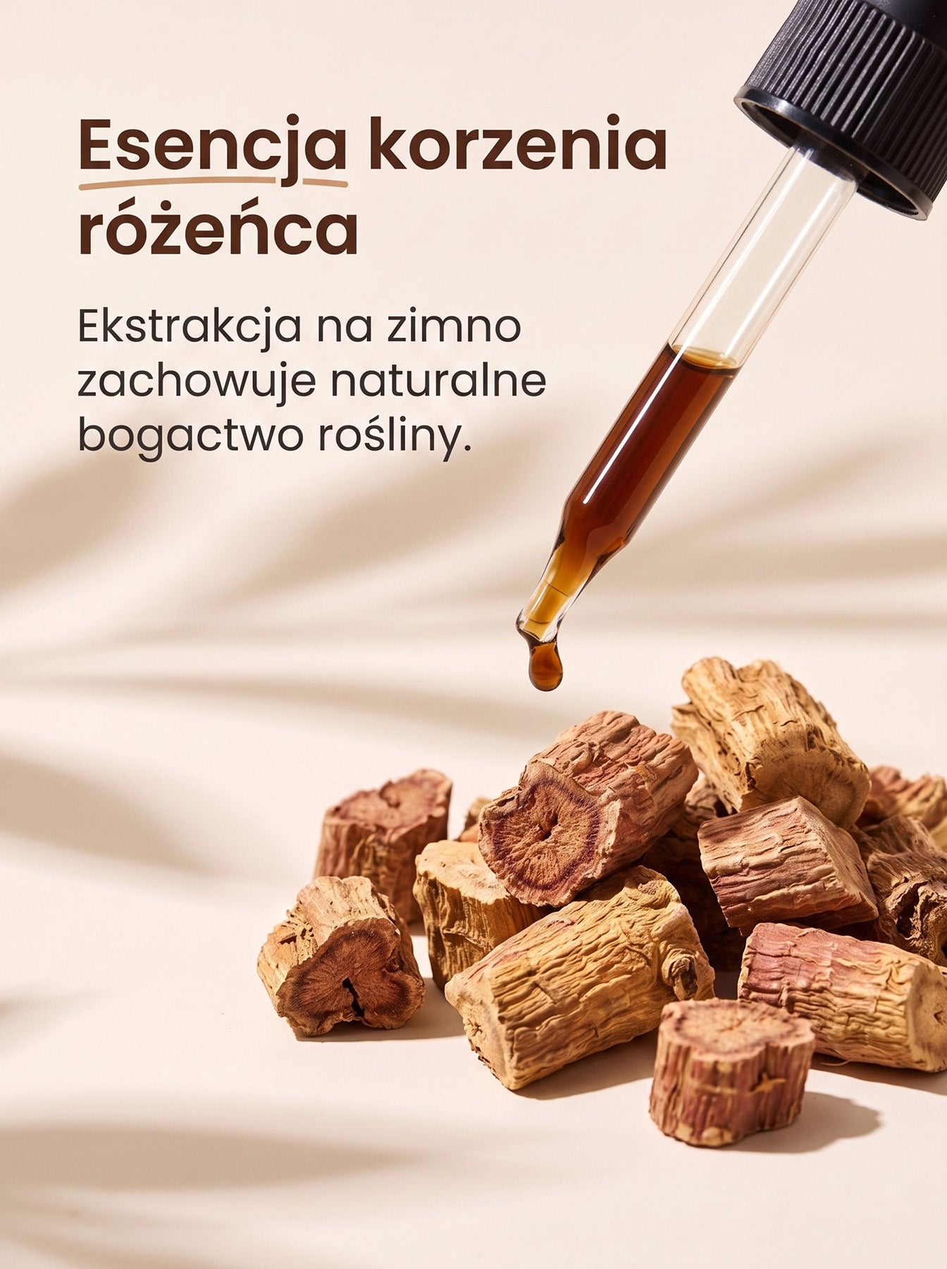 Różeniec Górski - Rhodiola Rosea