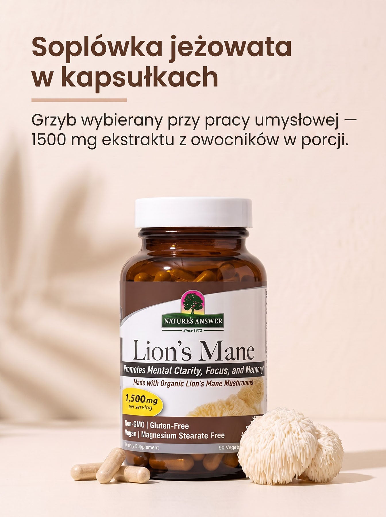 Lion's Mane - Soplówka Jeżowata