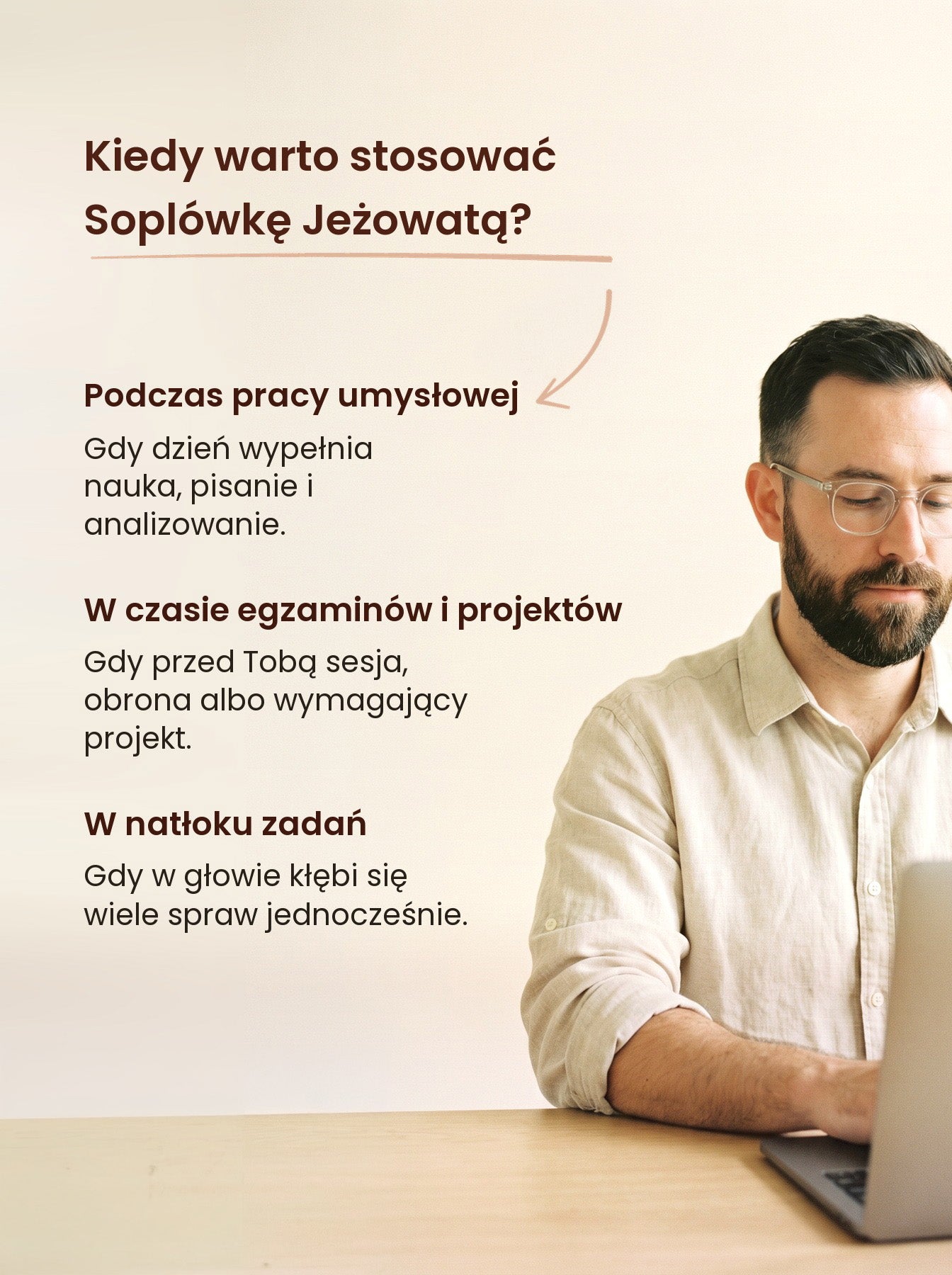 Lion's Mane - Soplówka Jeżowata