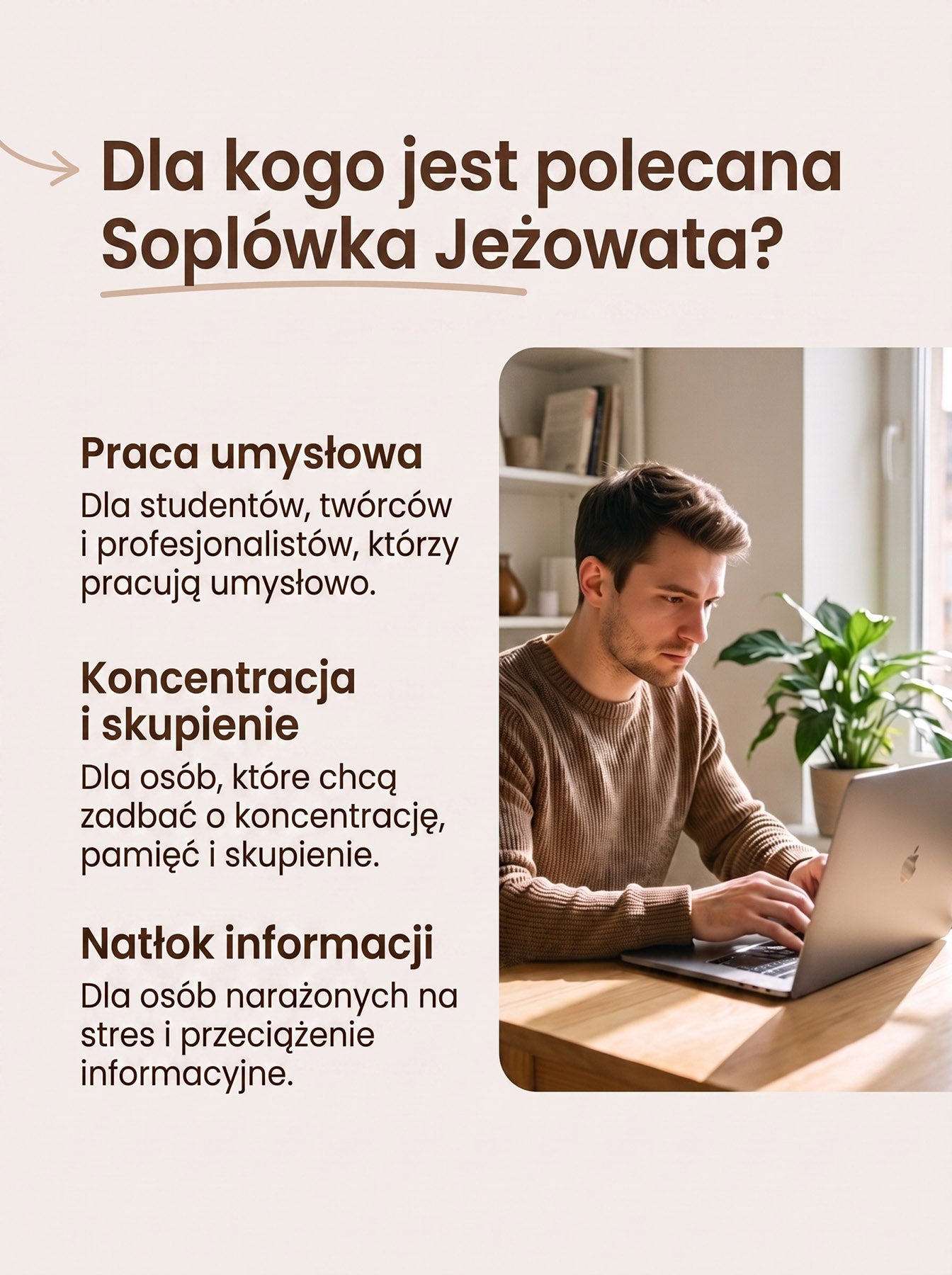 Lion's Mane - Soplówka Jeżowata