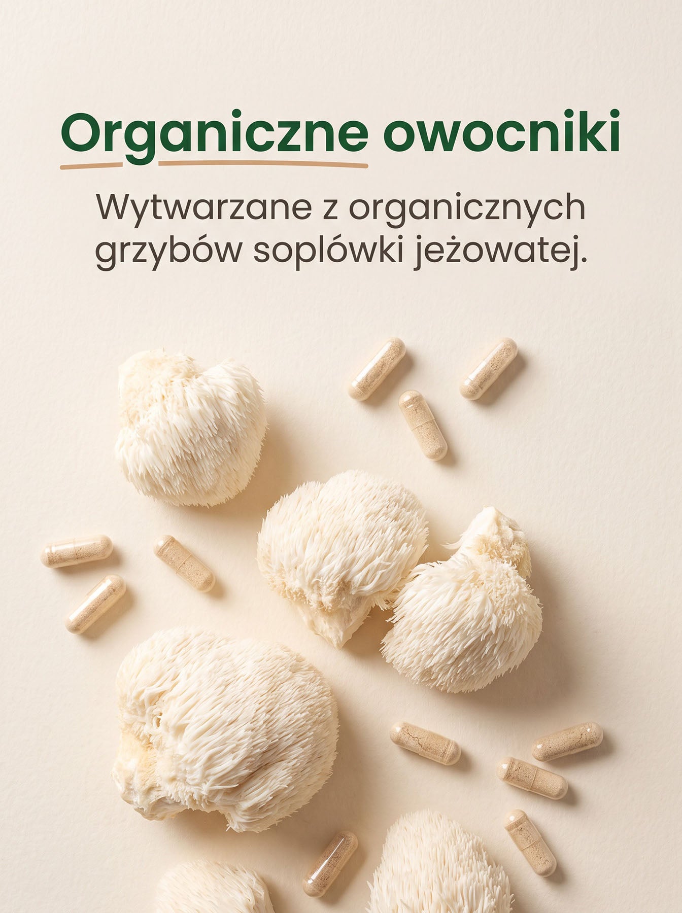 Lion's Mane - Soplówka Jeżowata