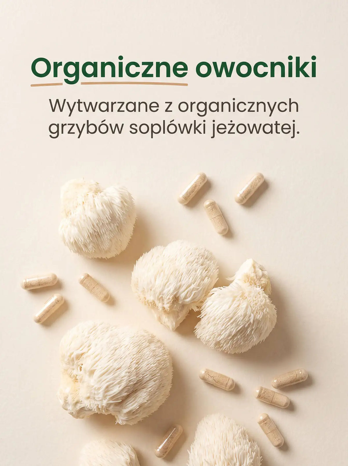 Lion's Mane - Soplówka Jeżowata Kapsułki 90 kapsułek Sklep Adaptogeny.pl