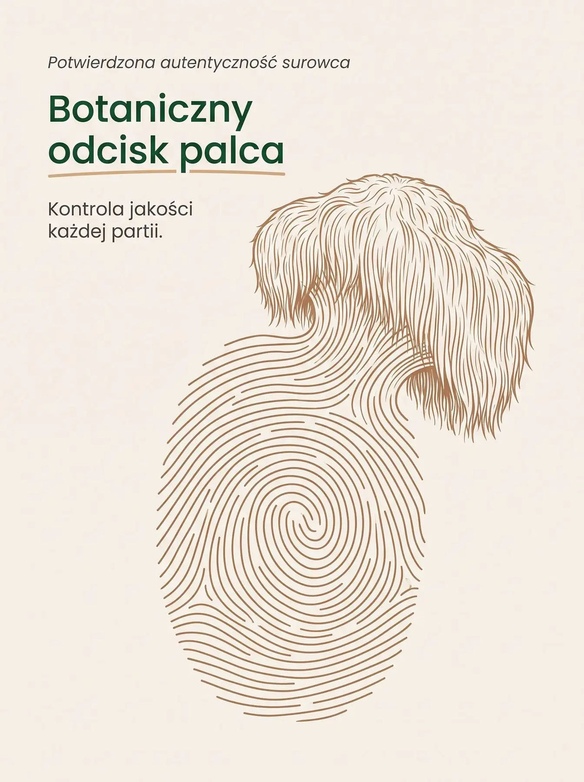 Lion's Mane - Soplówka Jeżowata Kapsułki 90 kapsułek Sklep Adaptogeny.pl
