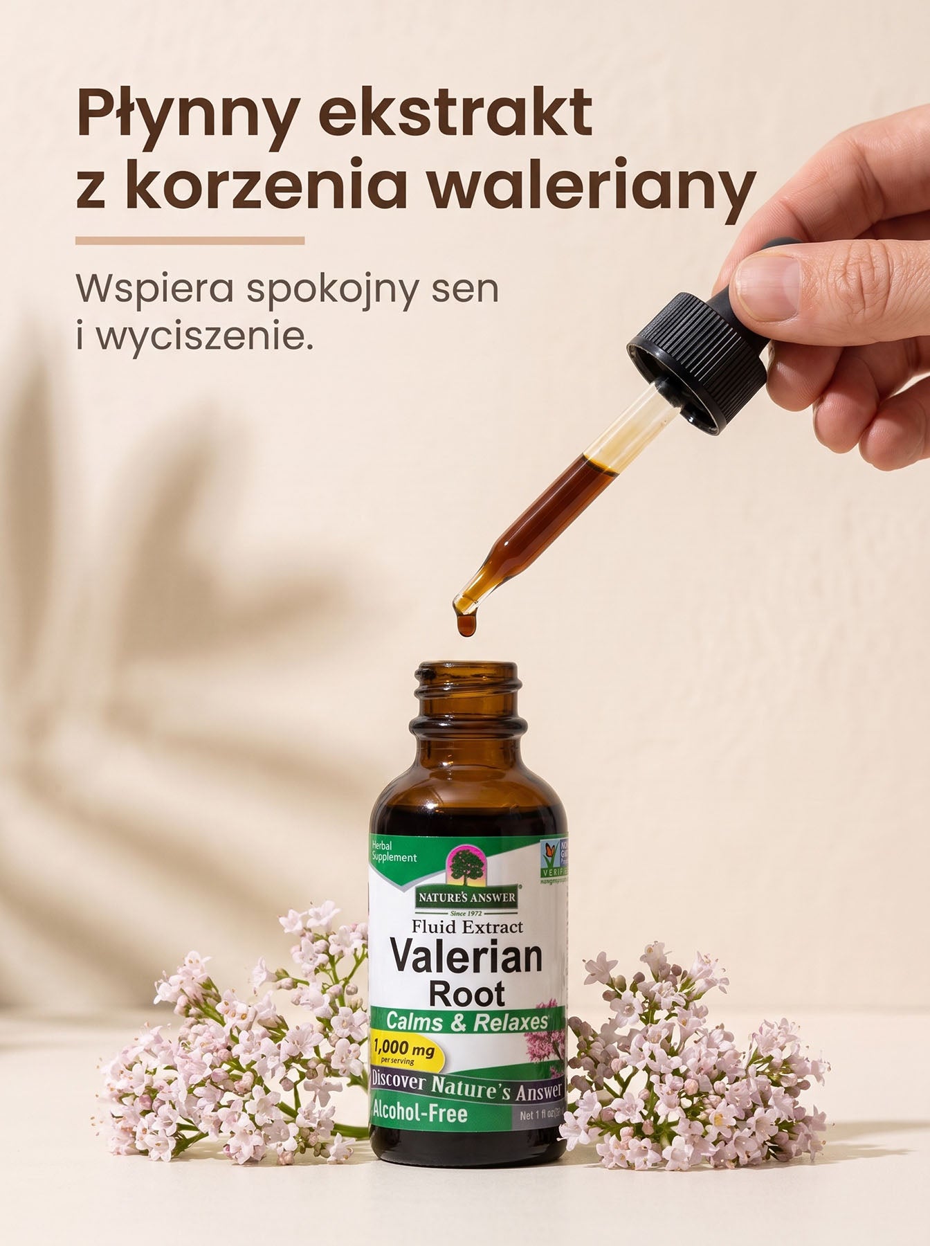 Waleriana - Kozłek Lekarski - Valerian