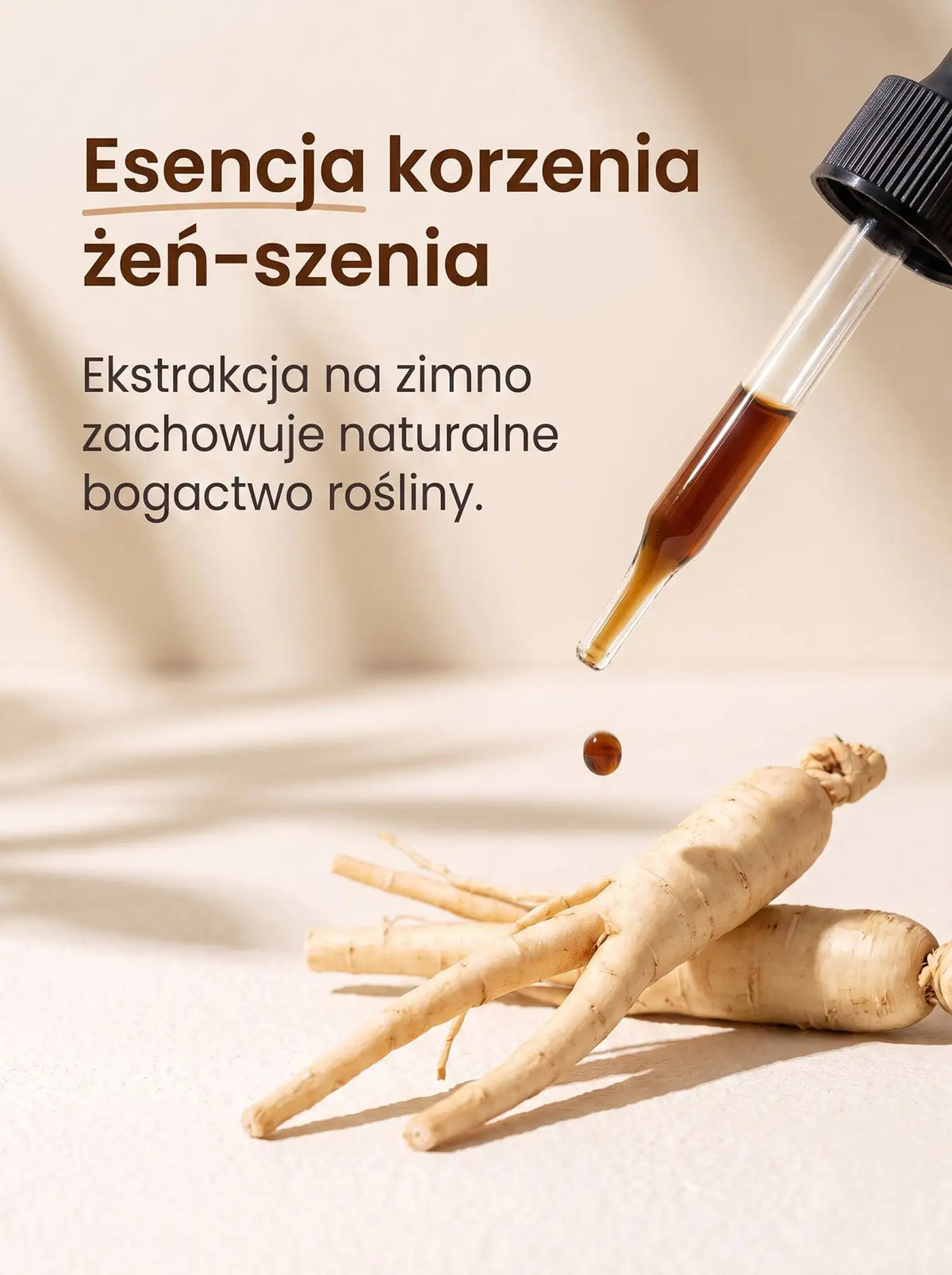 Żeń-Szeń Amerykański - American Ginseng Krople 30 ml Sklep Adaptogeny.pl