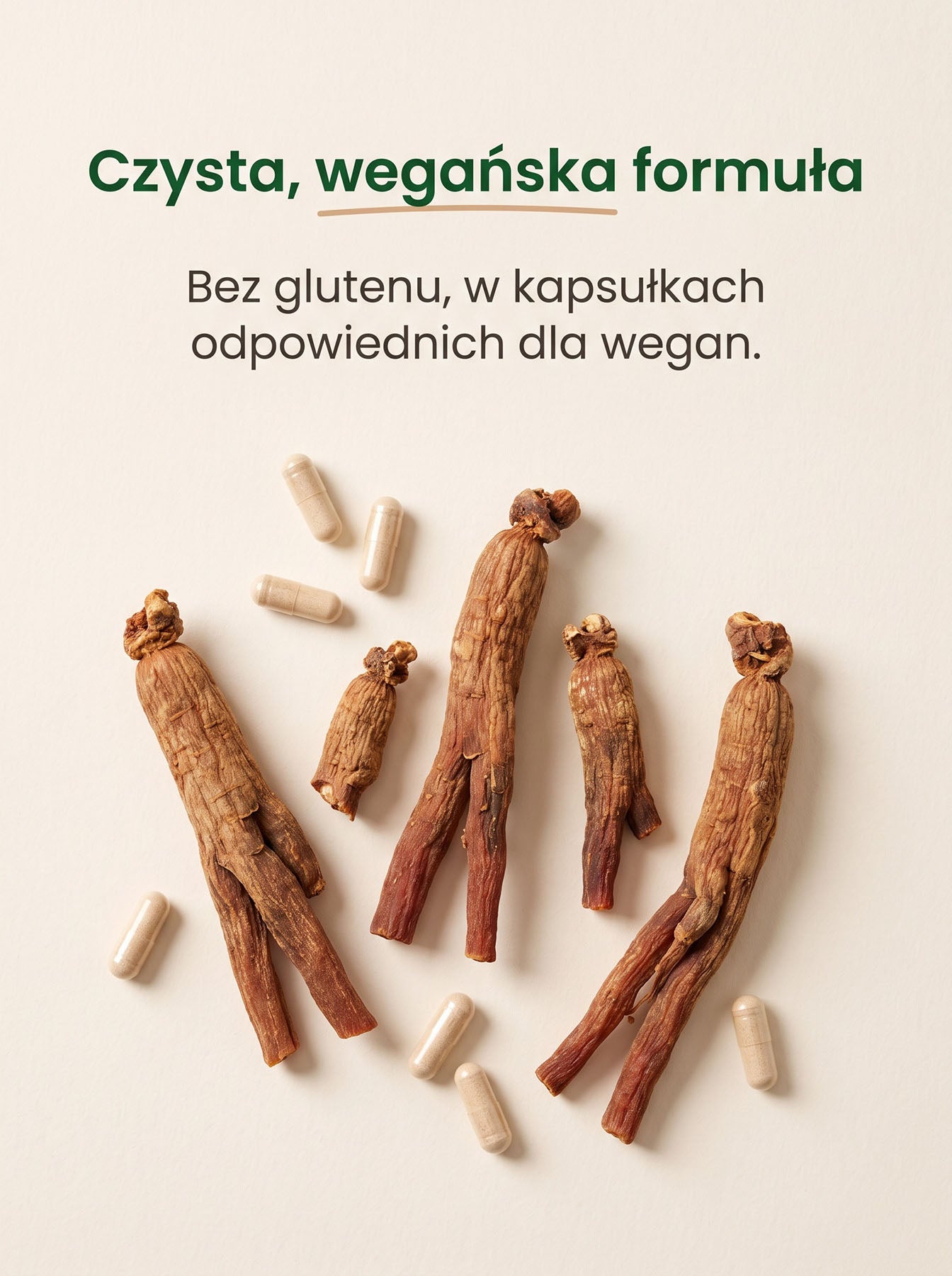 Żeń-Szeń Koreański - Korean Ginseng