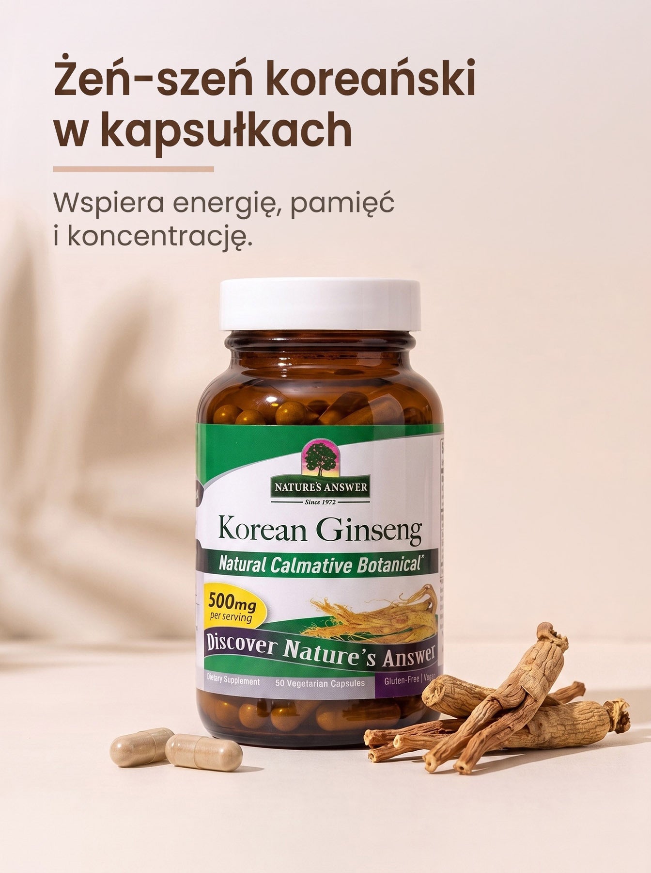 Żeń-Szeń Koreański - Korean Ginseng