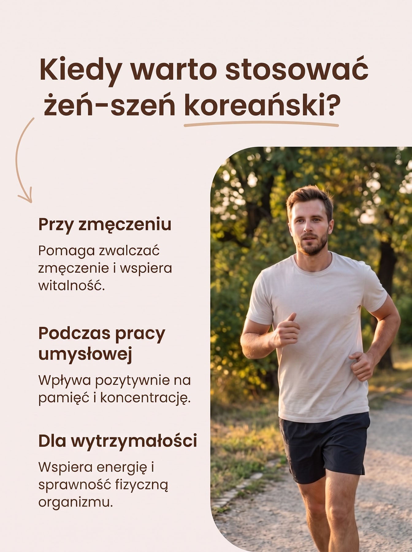 Żeń-Szeń Koreański - Korean Ginseng