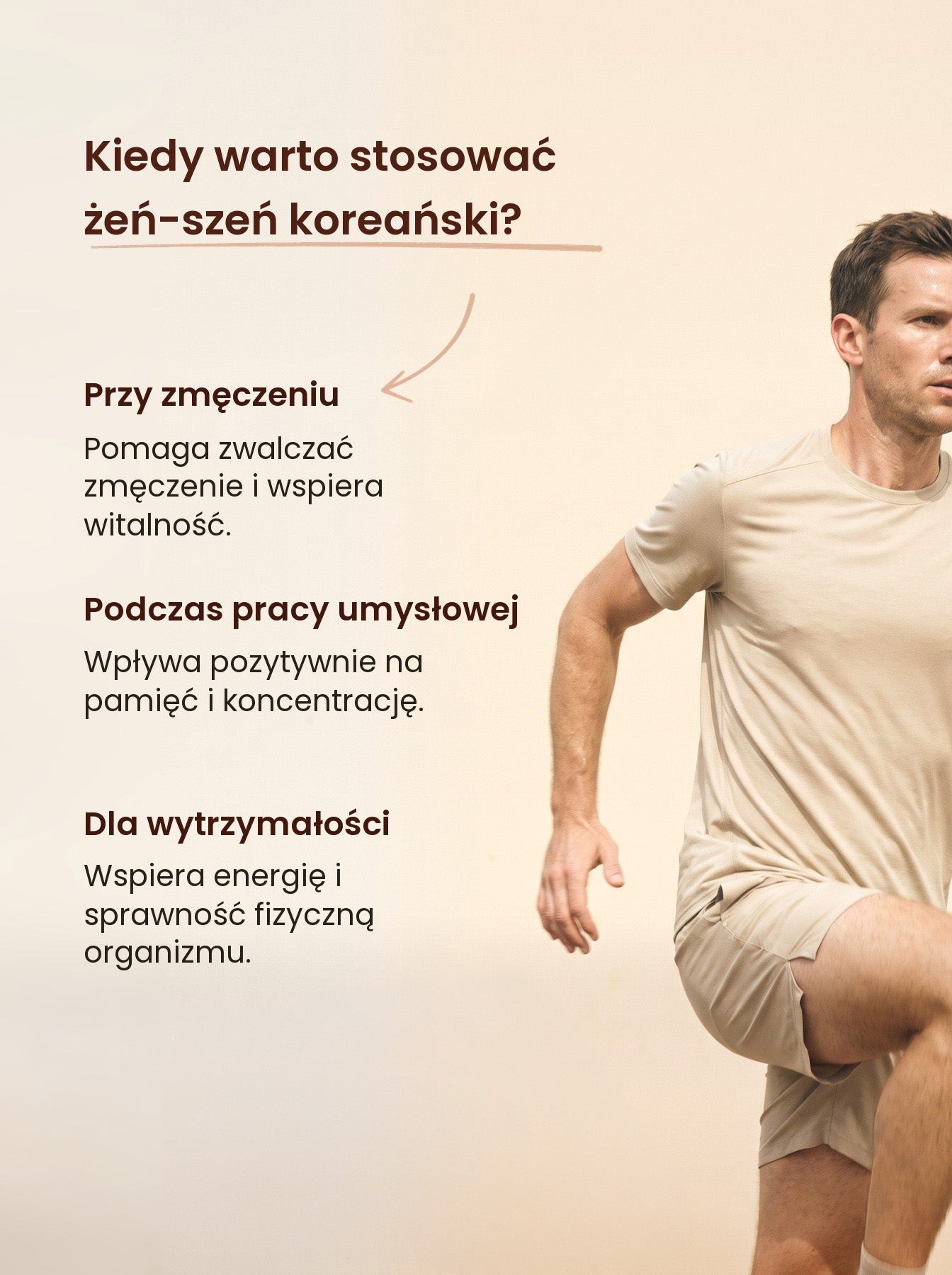 Żeń-Szeń Koreański - Korean Ginseng