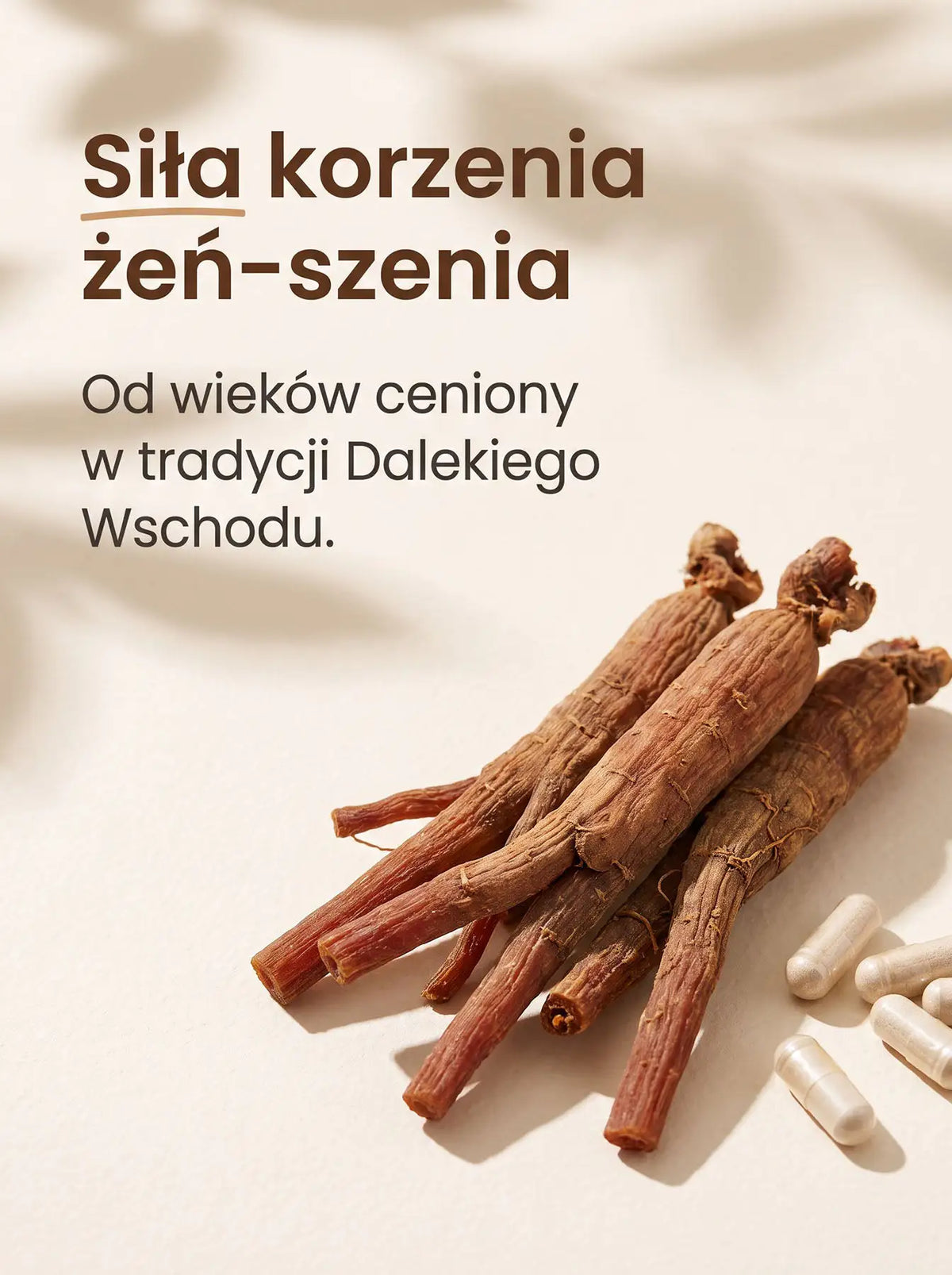 Żeń-Szeń Koreański - Korean Ginseng Kapsułki 50 kapsułek Sklep Adaptogeny.pl
